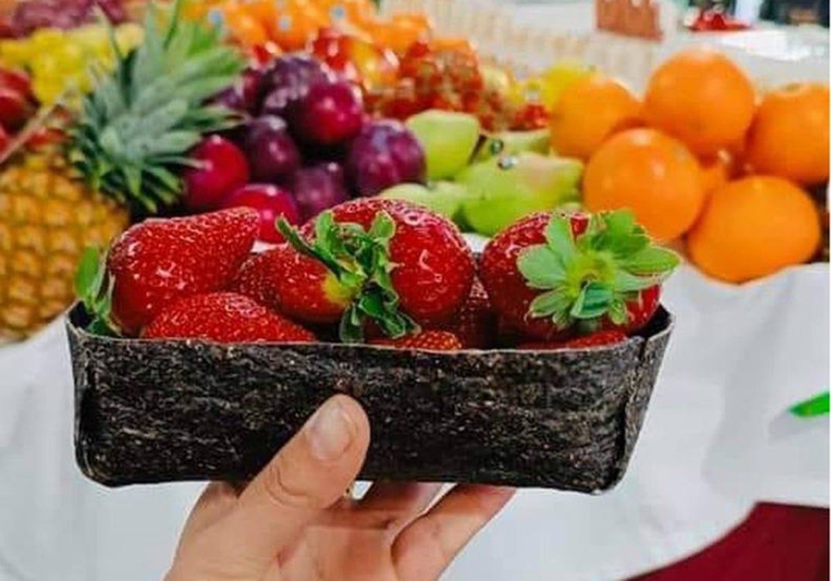 Seaweed packaging being trialled as alternative to plastic Sur in English